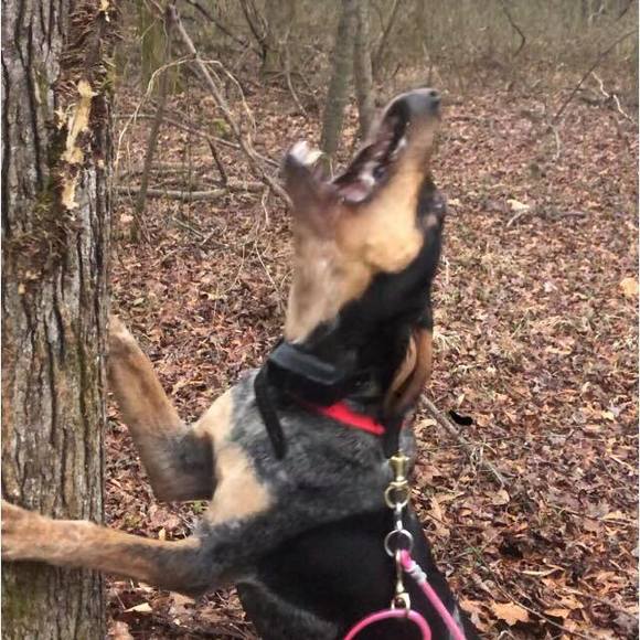 Meet your Posher, David - Picture 1 of 1